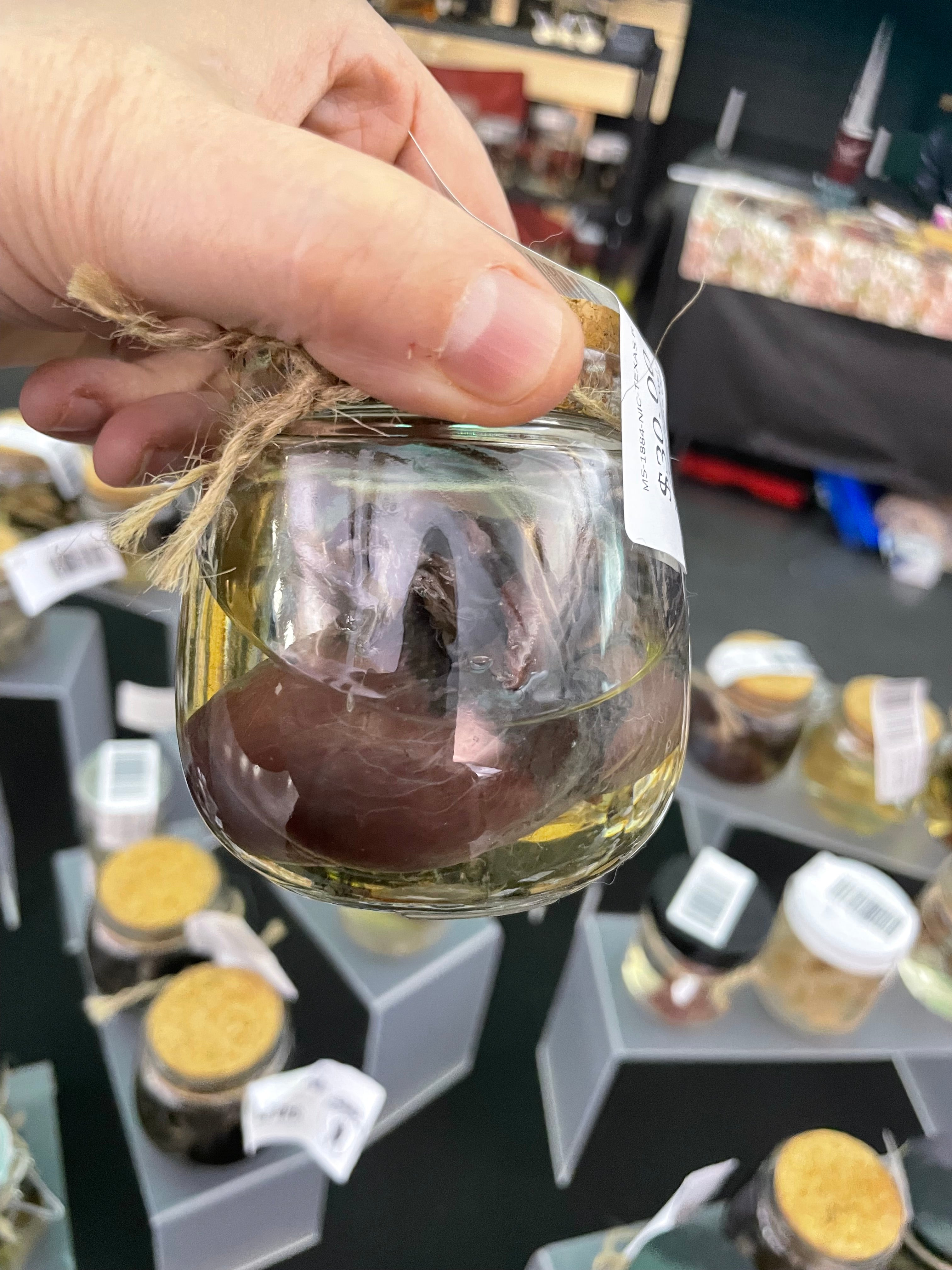 Nice Calf Heart Wet Specimen