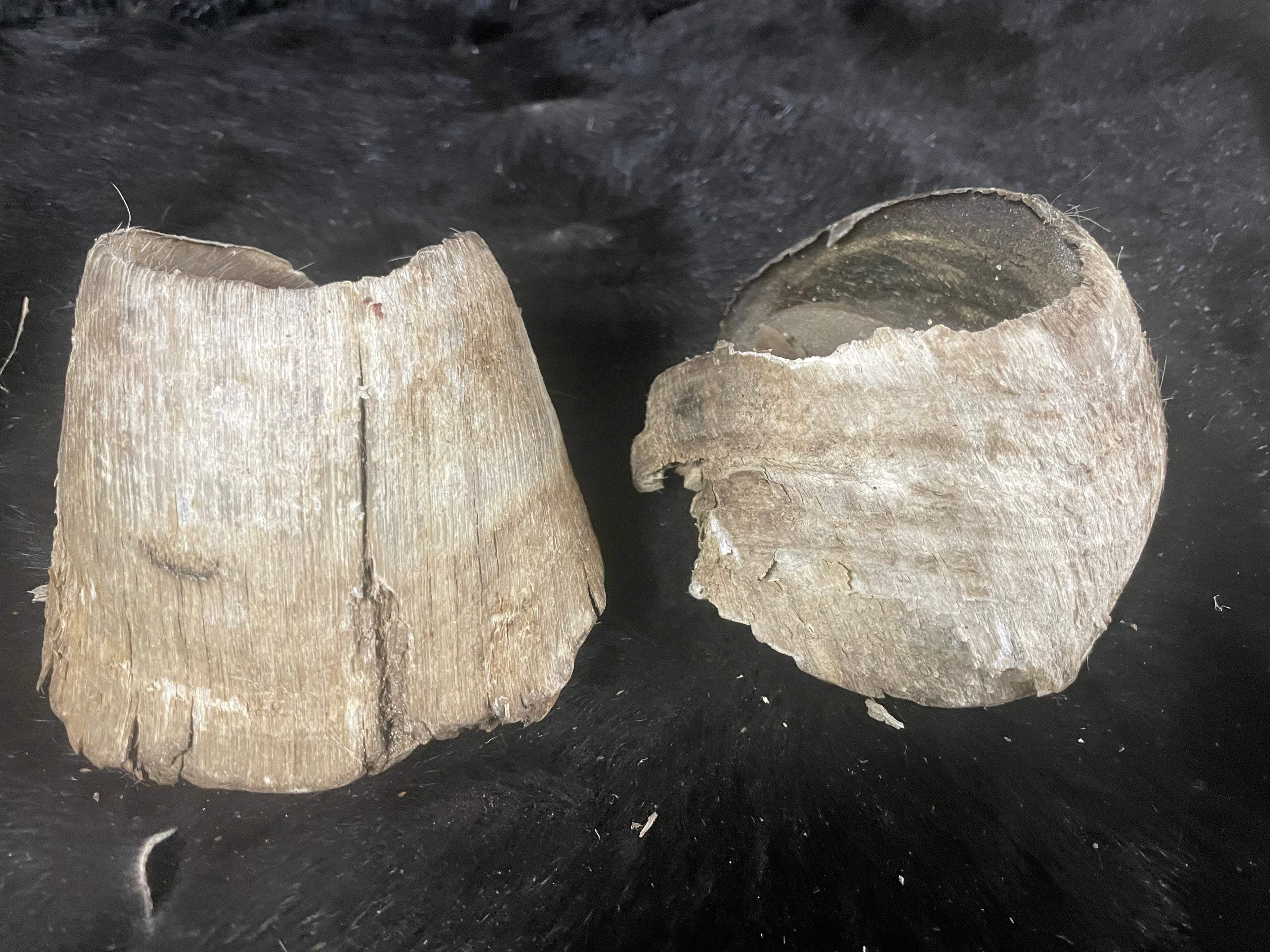 8 pairs of horse Hooves