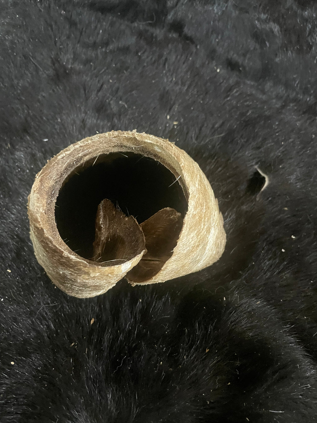 Craft Grade Horse Hoof