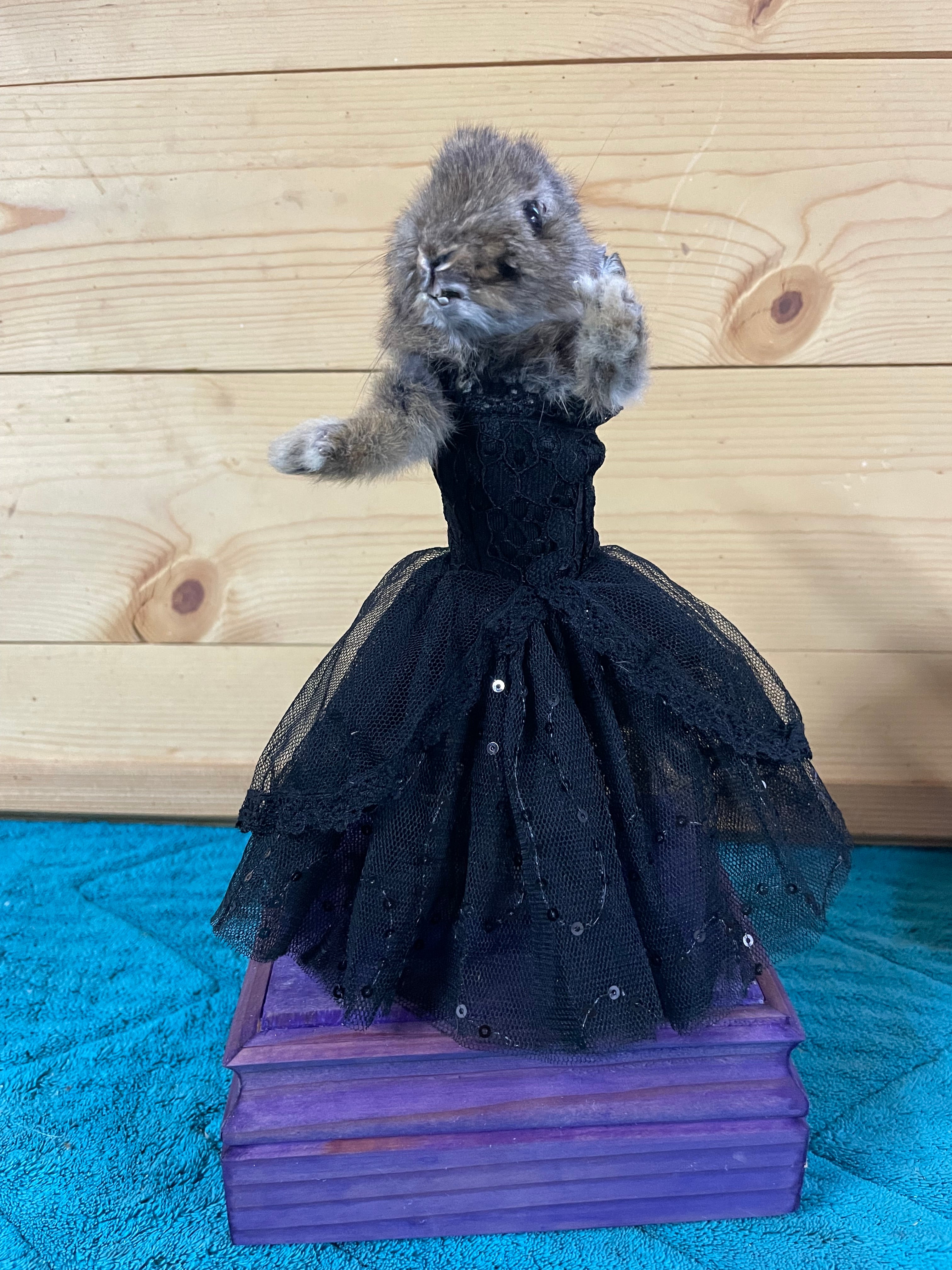 Gothic Ballerina Bunny