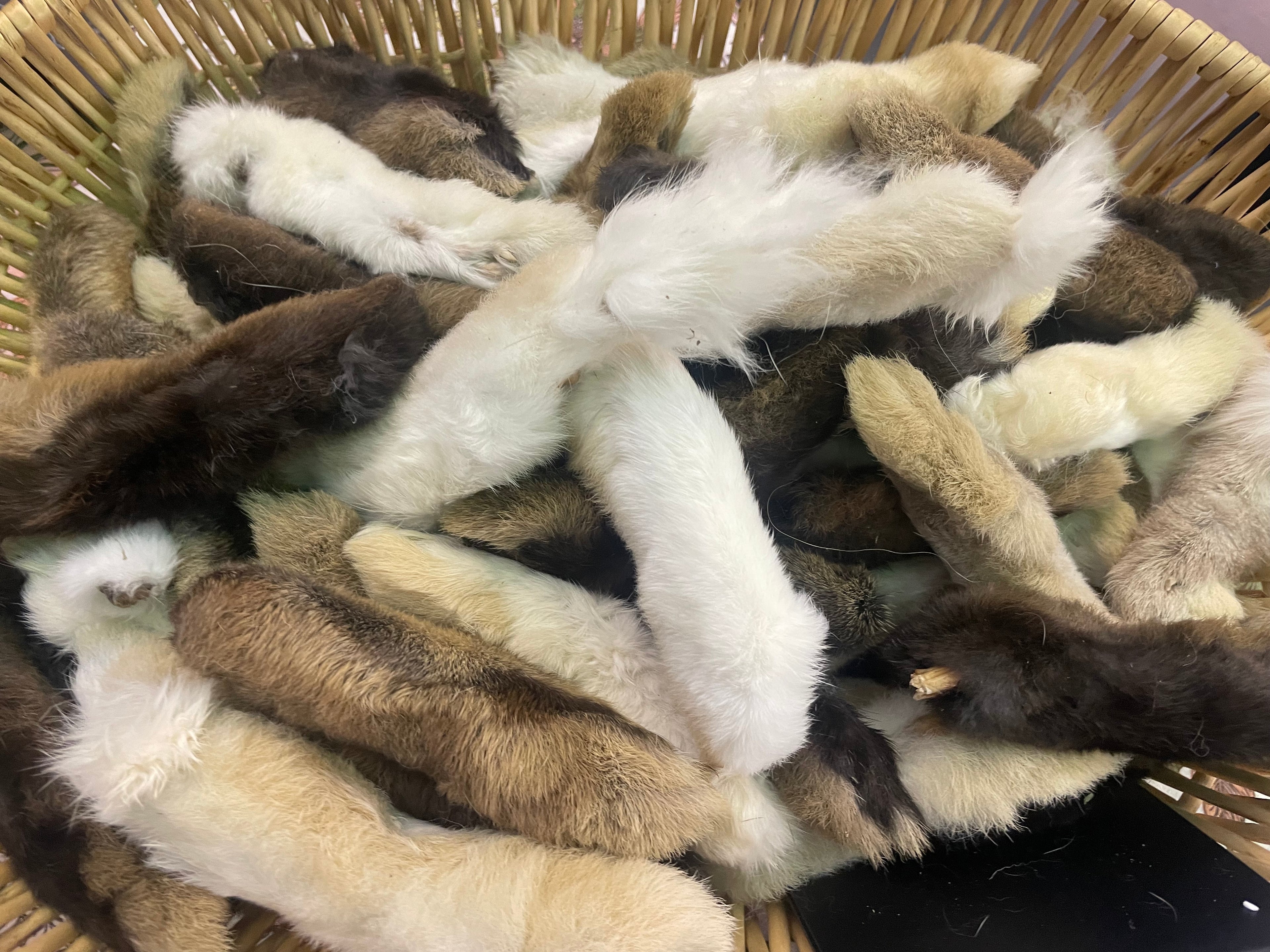 Rabbit Feet