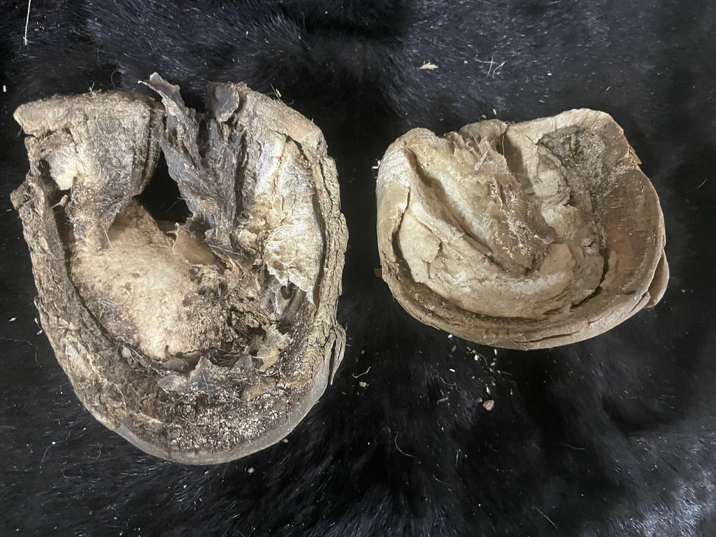 8 pairs of horse Hooves