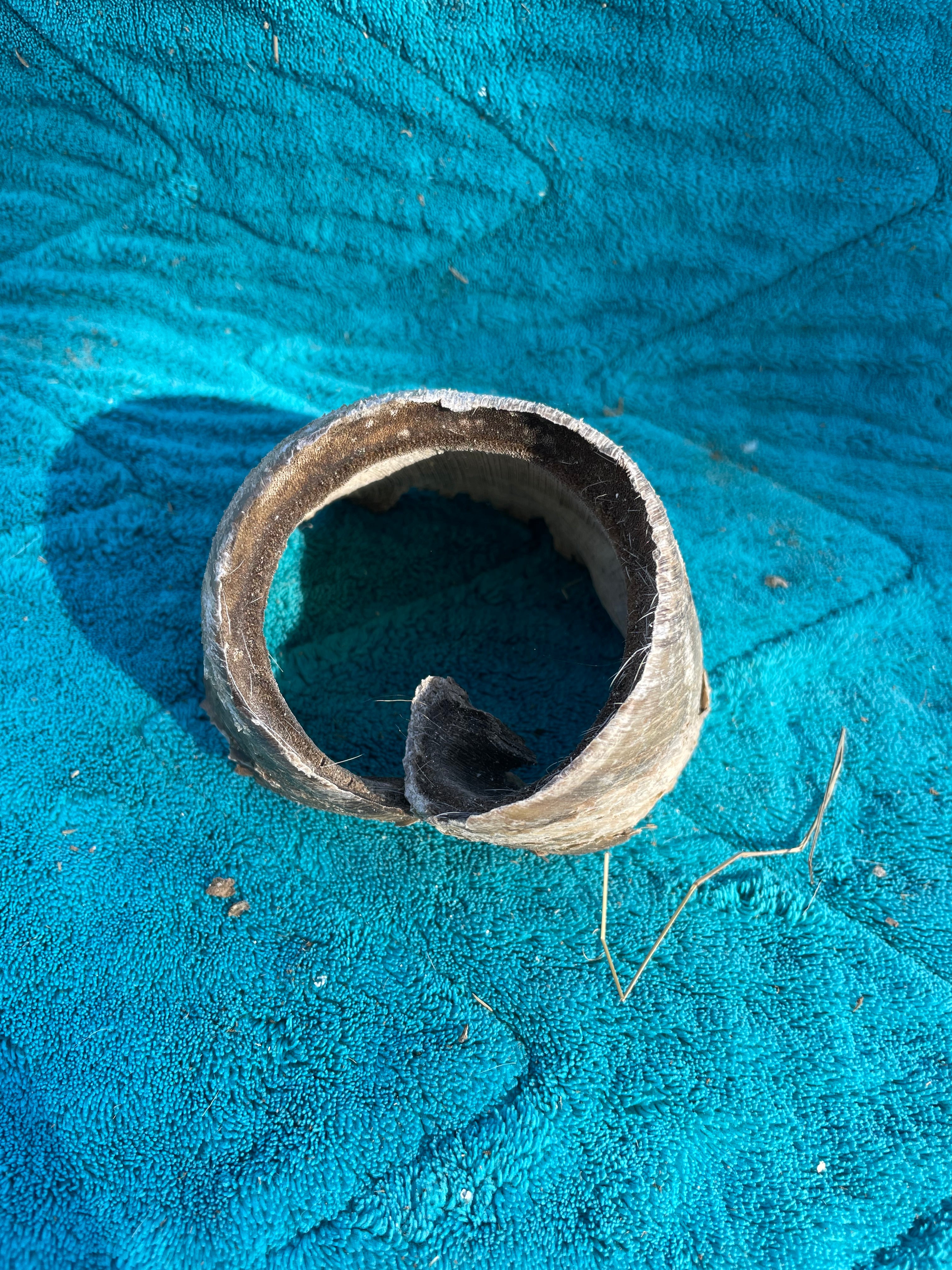 Horse Hoof Crafters