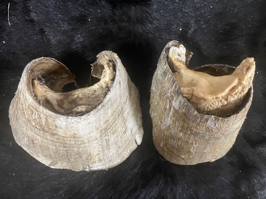 8 pairs of horse Hooves