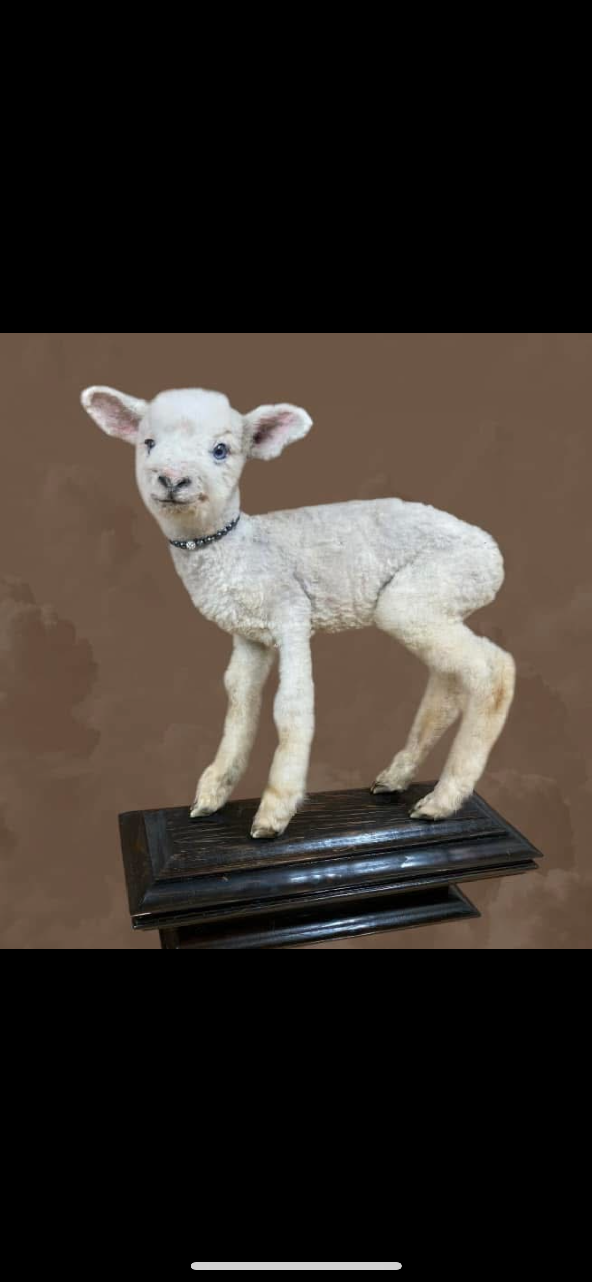 Lamb Commisions with Stand and Jewelry