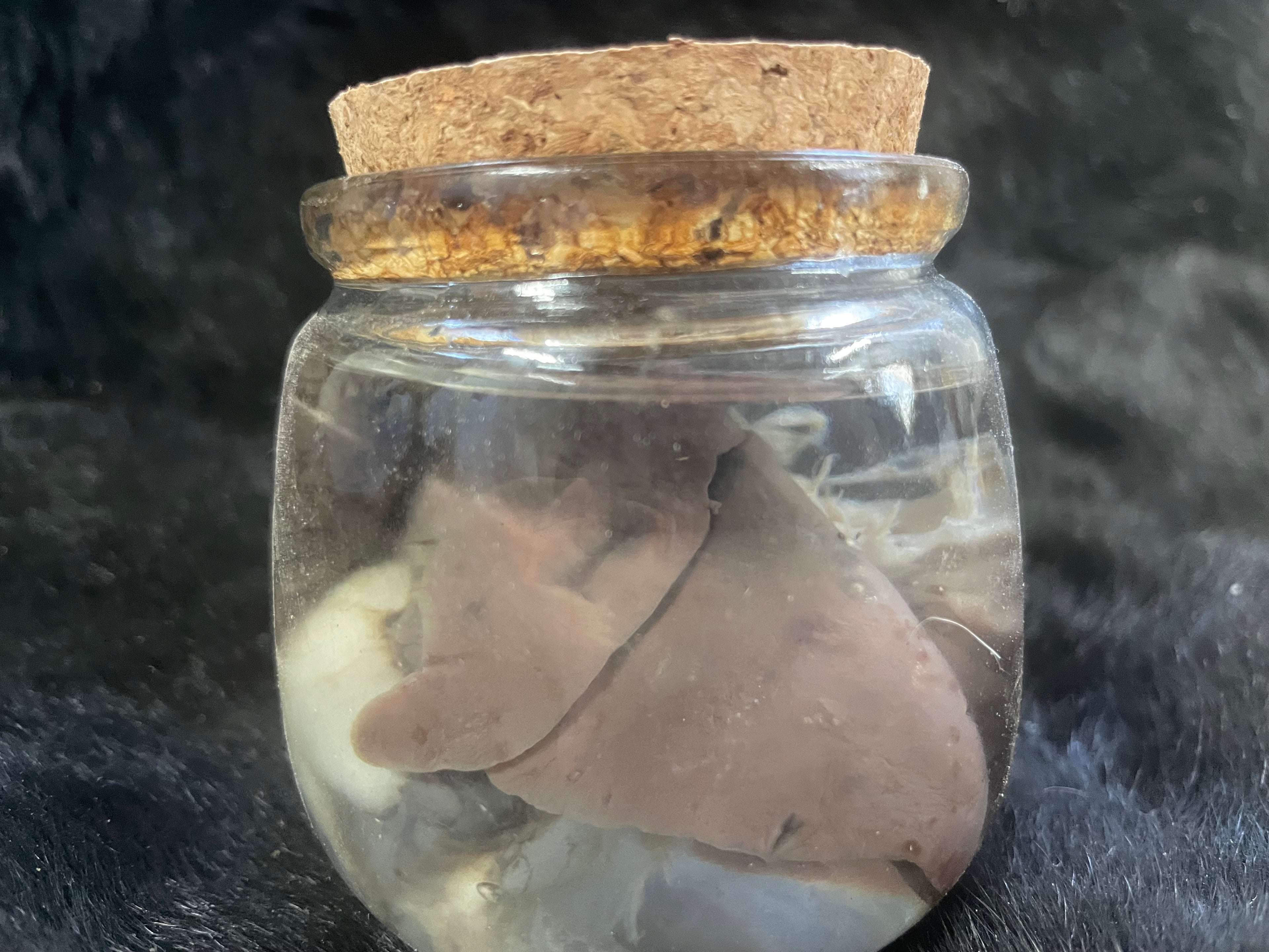 Goat Heart and Lungs