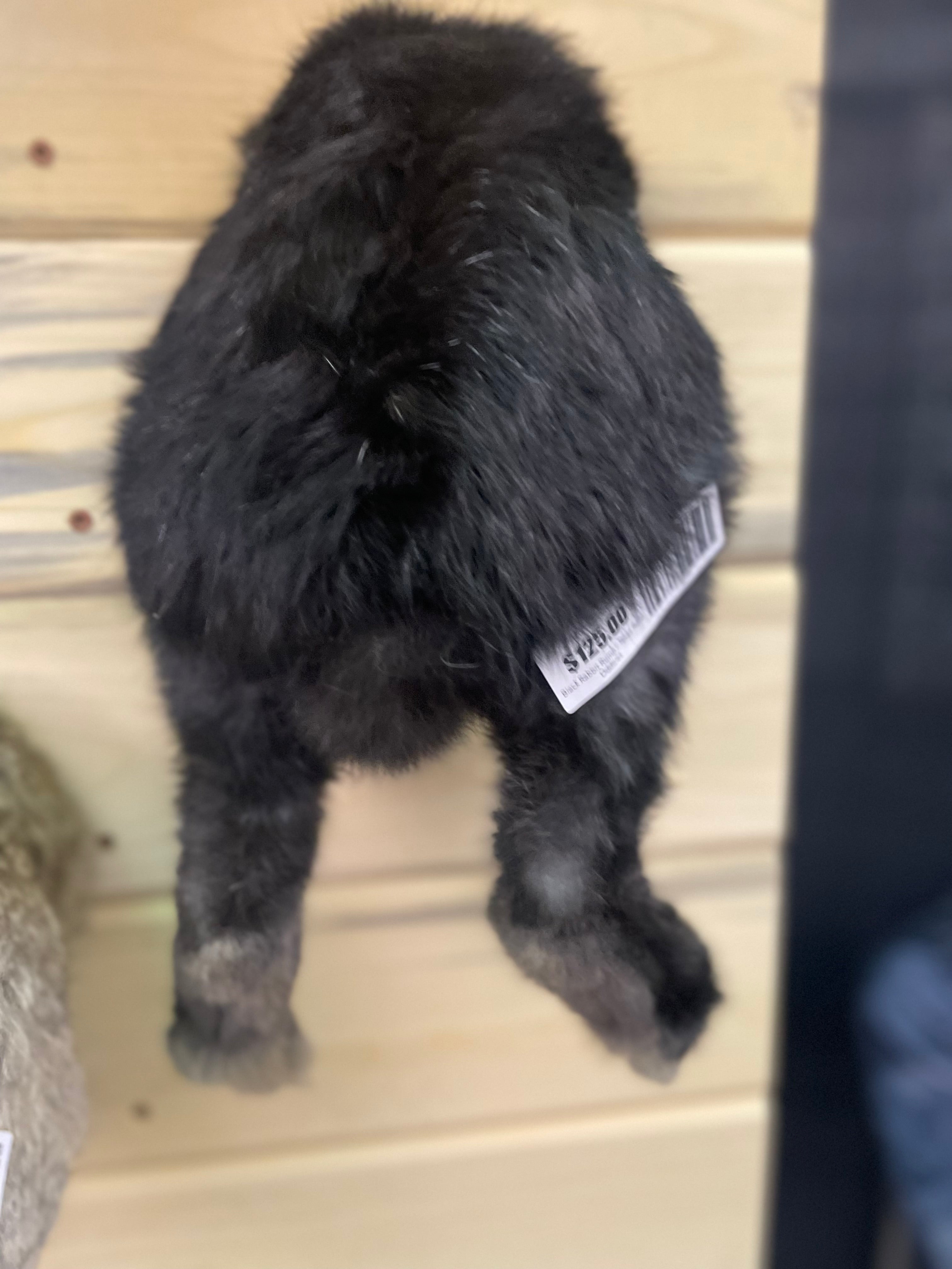 Black Rabbit Rump