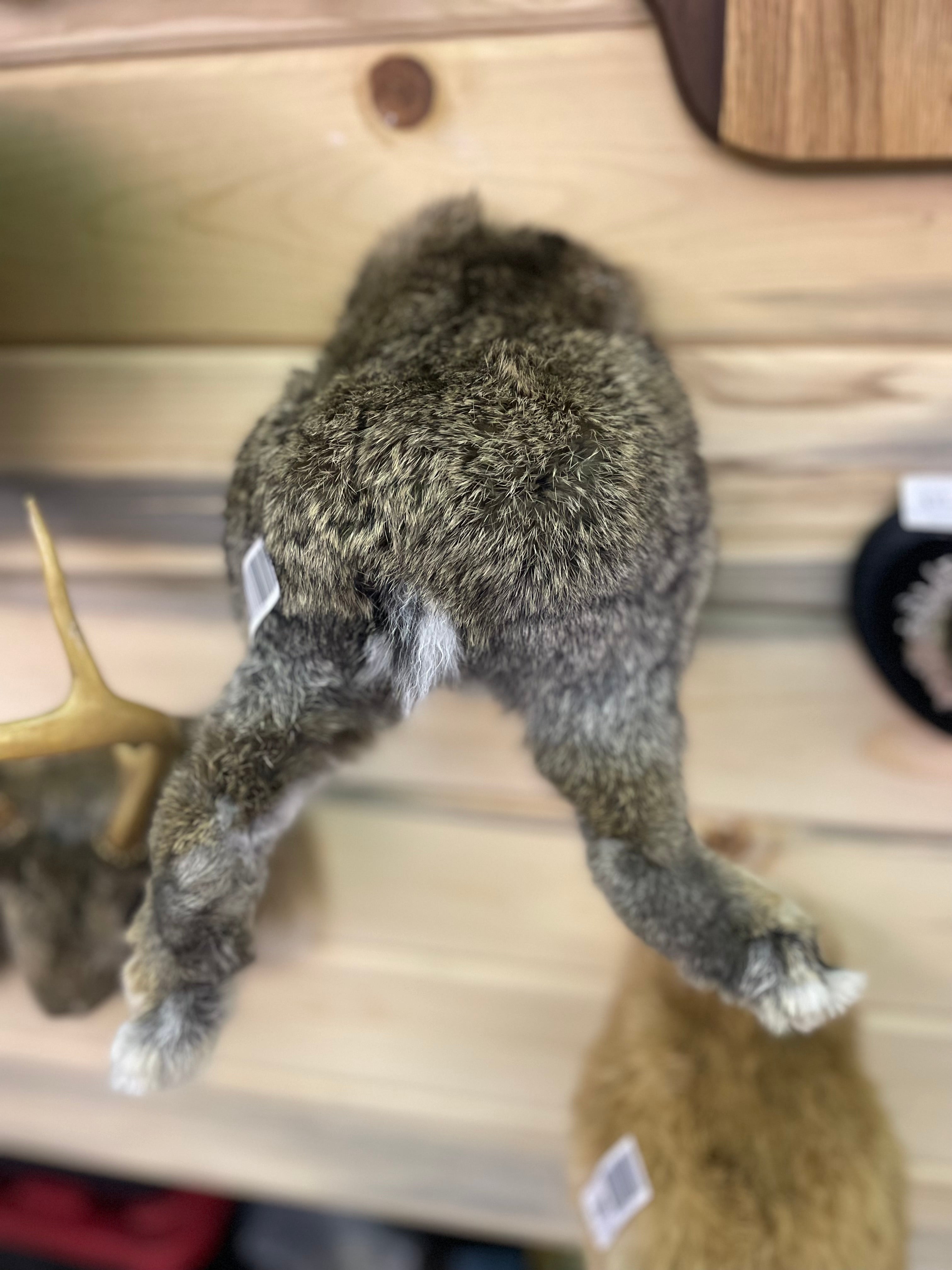 Brown Rabbit Rump