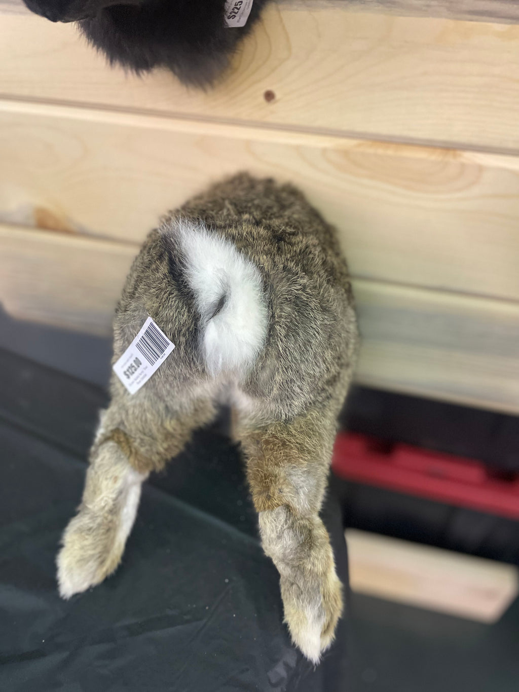 Brown Rabbit Rump