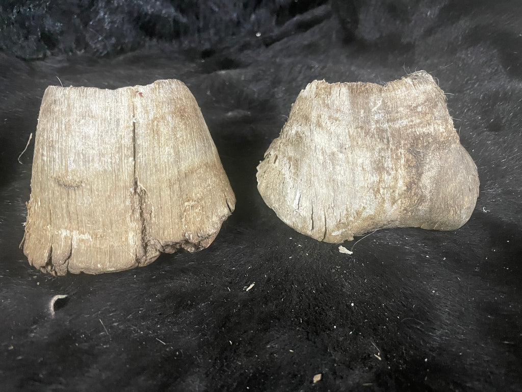 8 pairs of horse Hooves