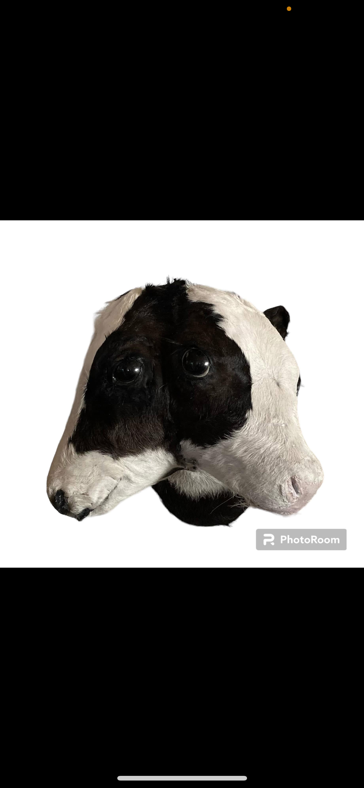 Commissioned 2 Headed Calves Gaft. Log in for wholesale prices