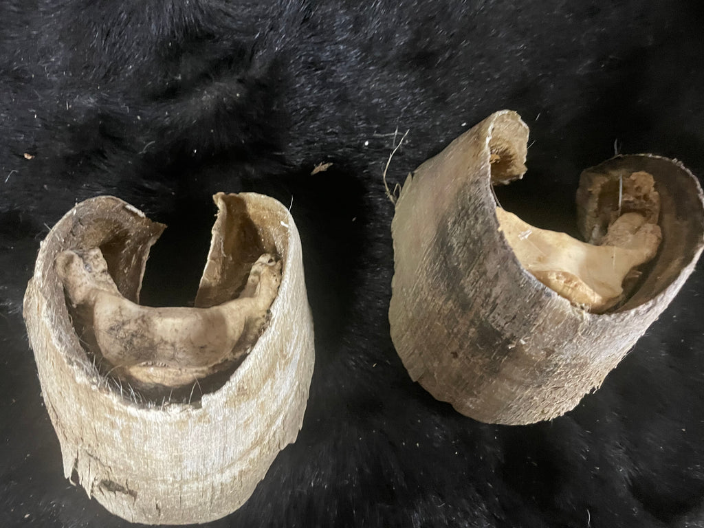 8 pairs of horse Hooves