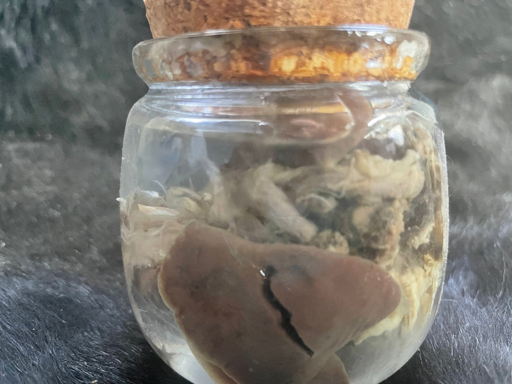 Goat Heart and Lungs