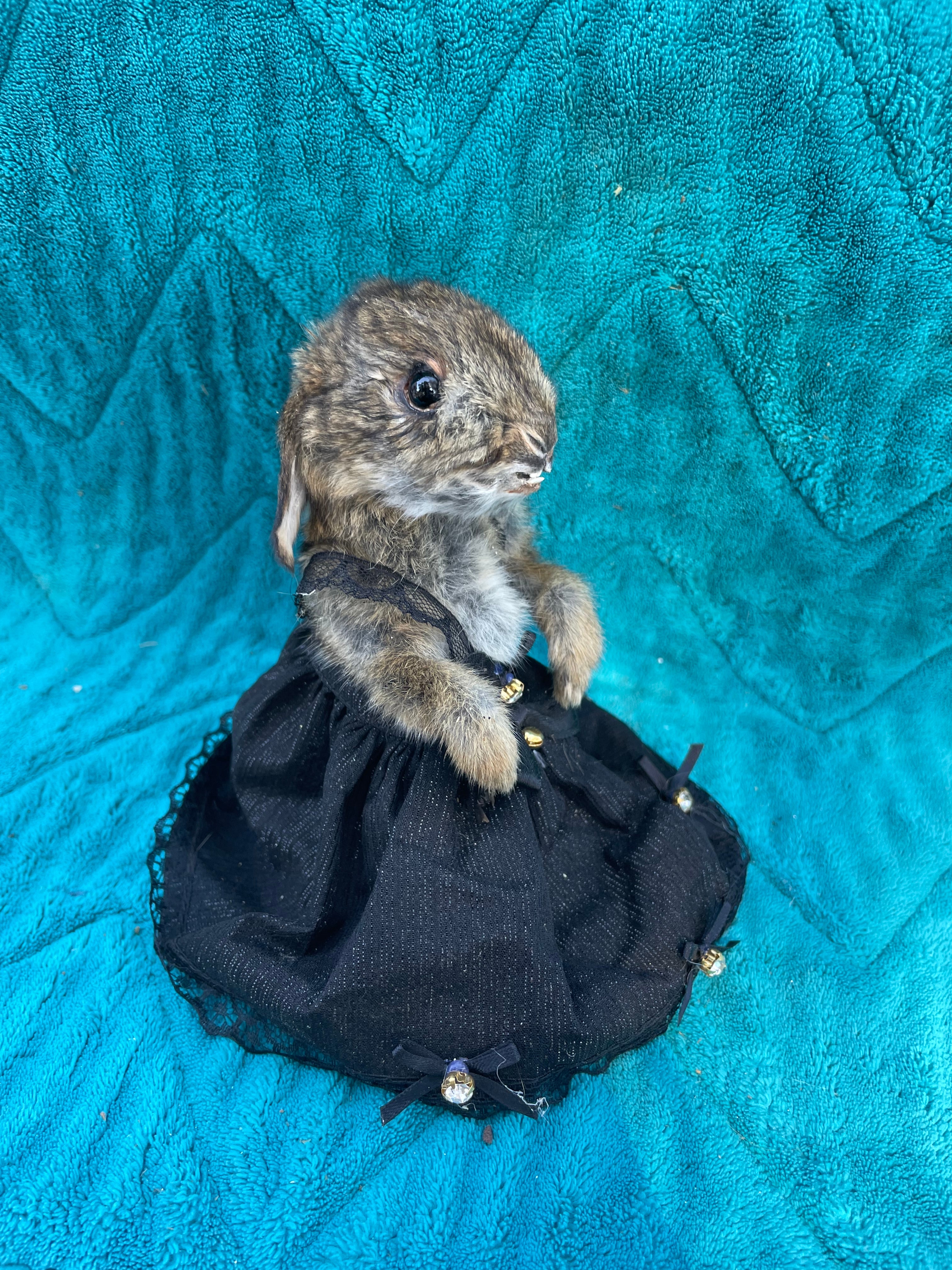 Gothic Baby Rabbit