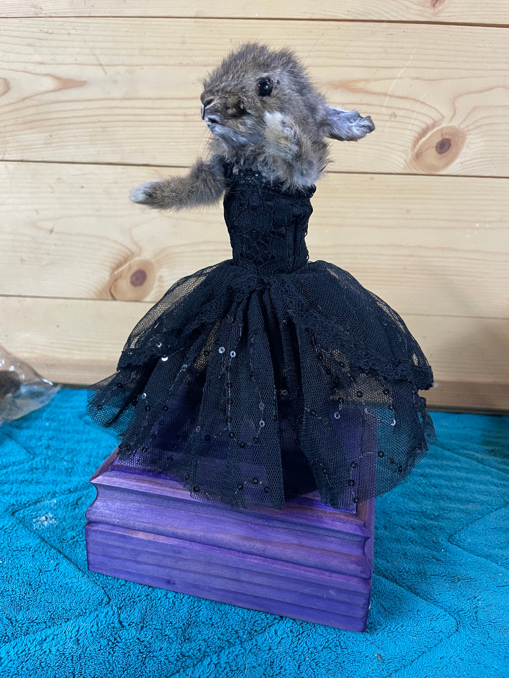 Gothic Ballerina Bunny