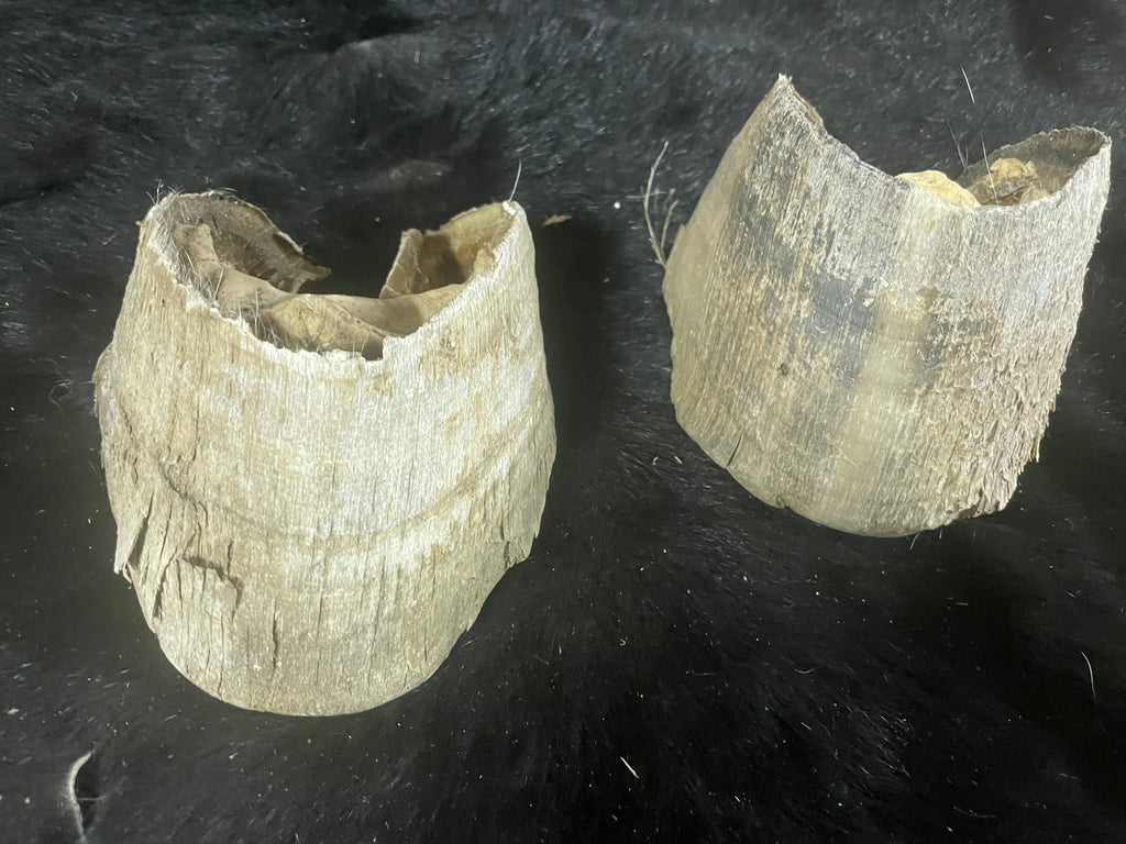 8 pairs of horse Hooves