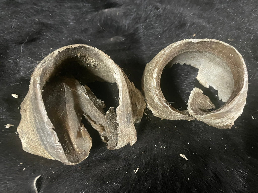 8 pairs of horse Hooves