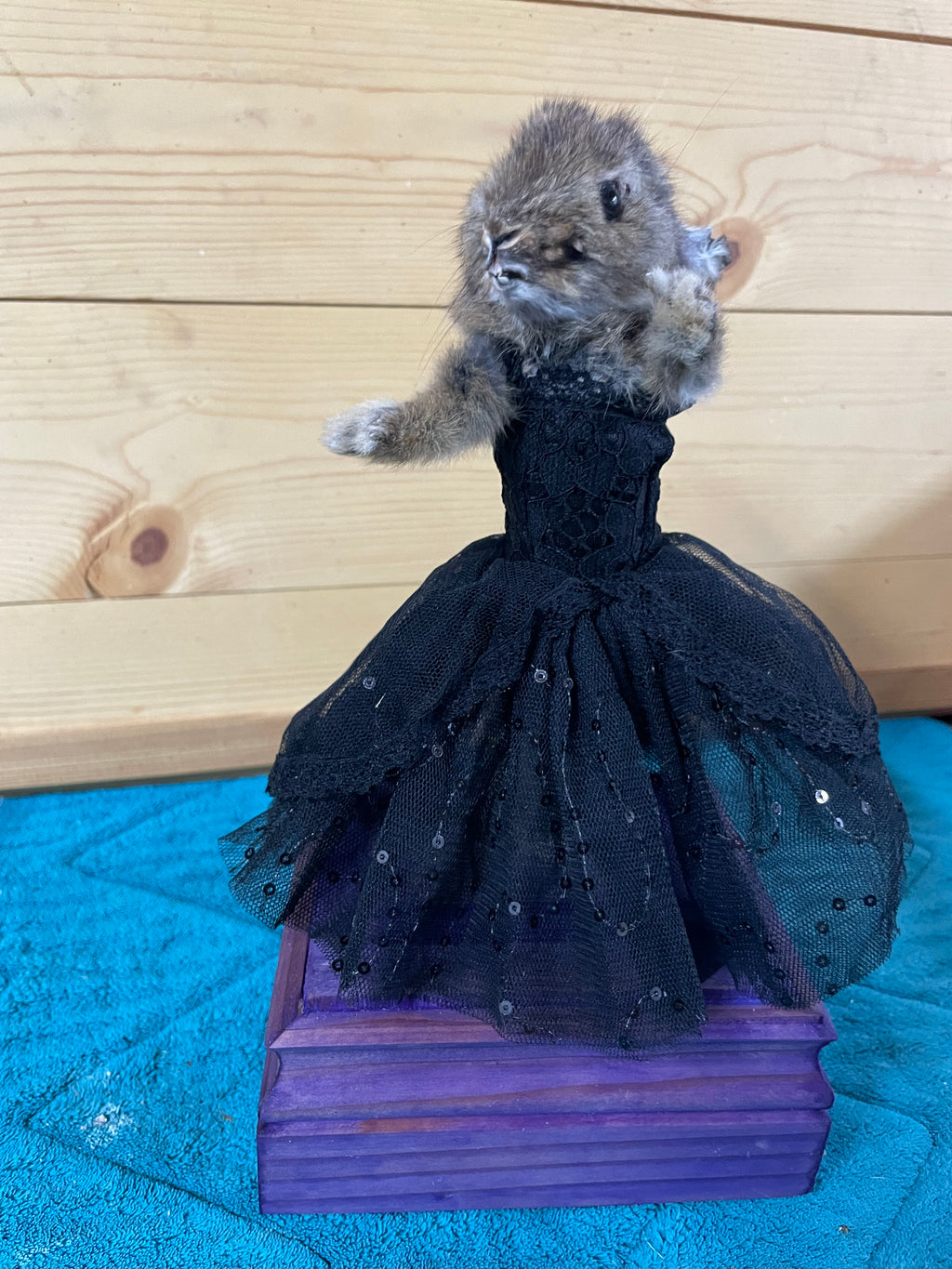 Gothic Ballerina Bunny