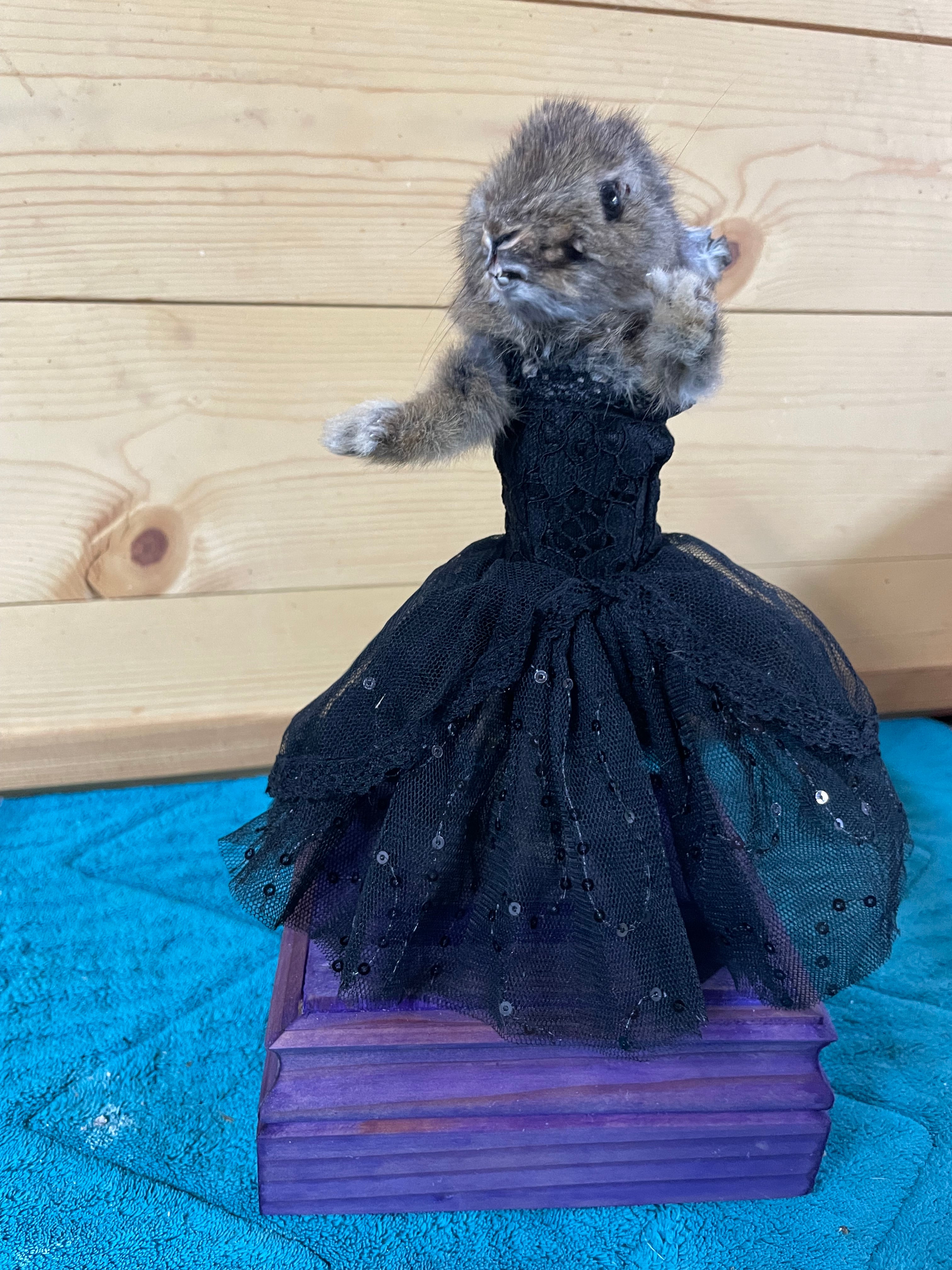 Gothic Ballerina Bunny