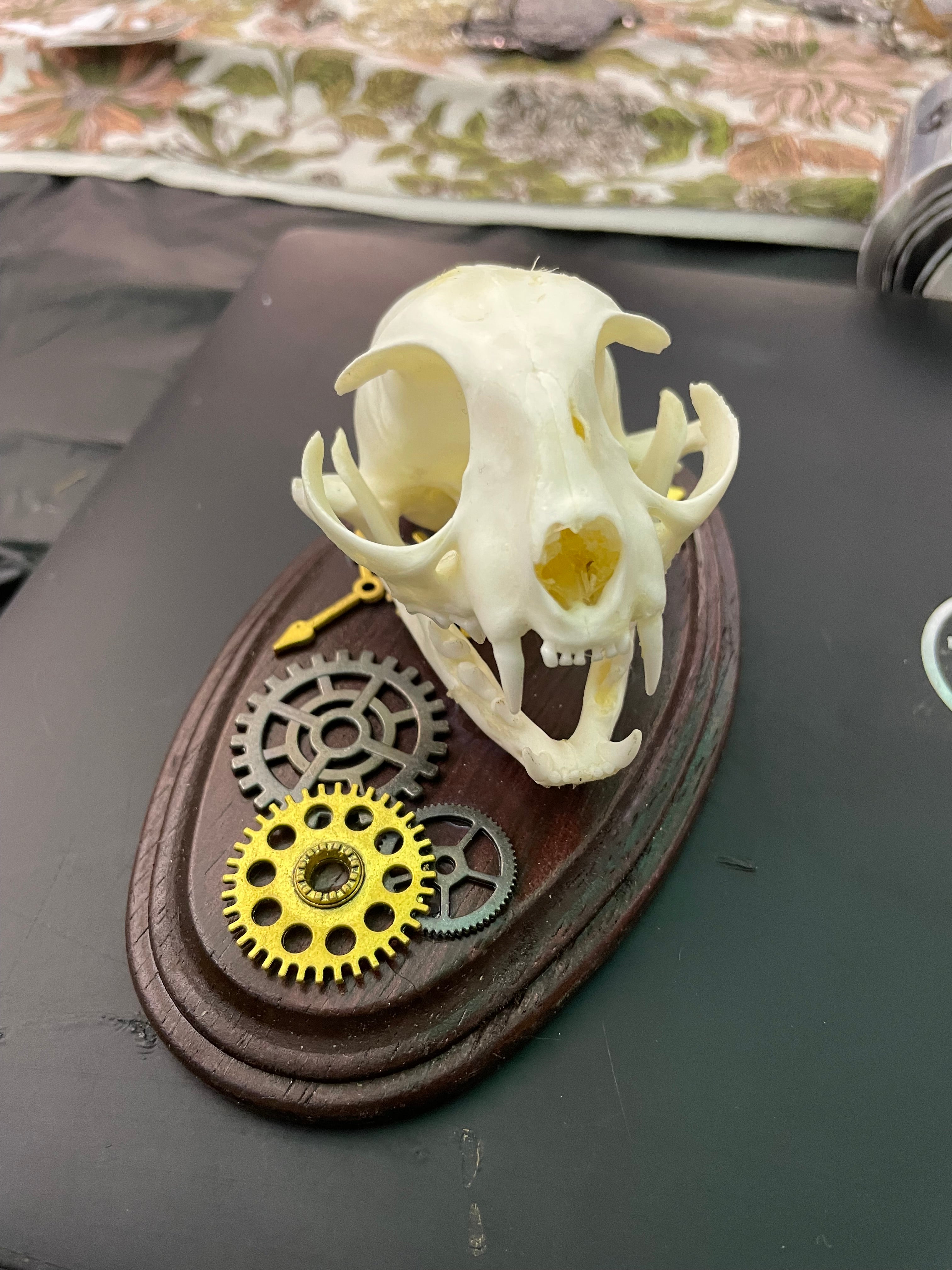 Steam Punk Cat Plaque