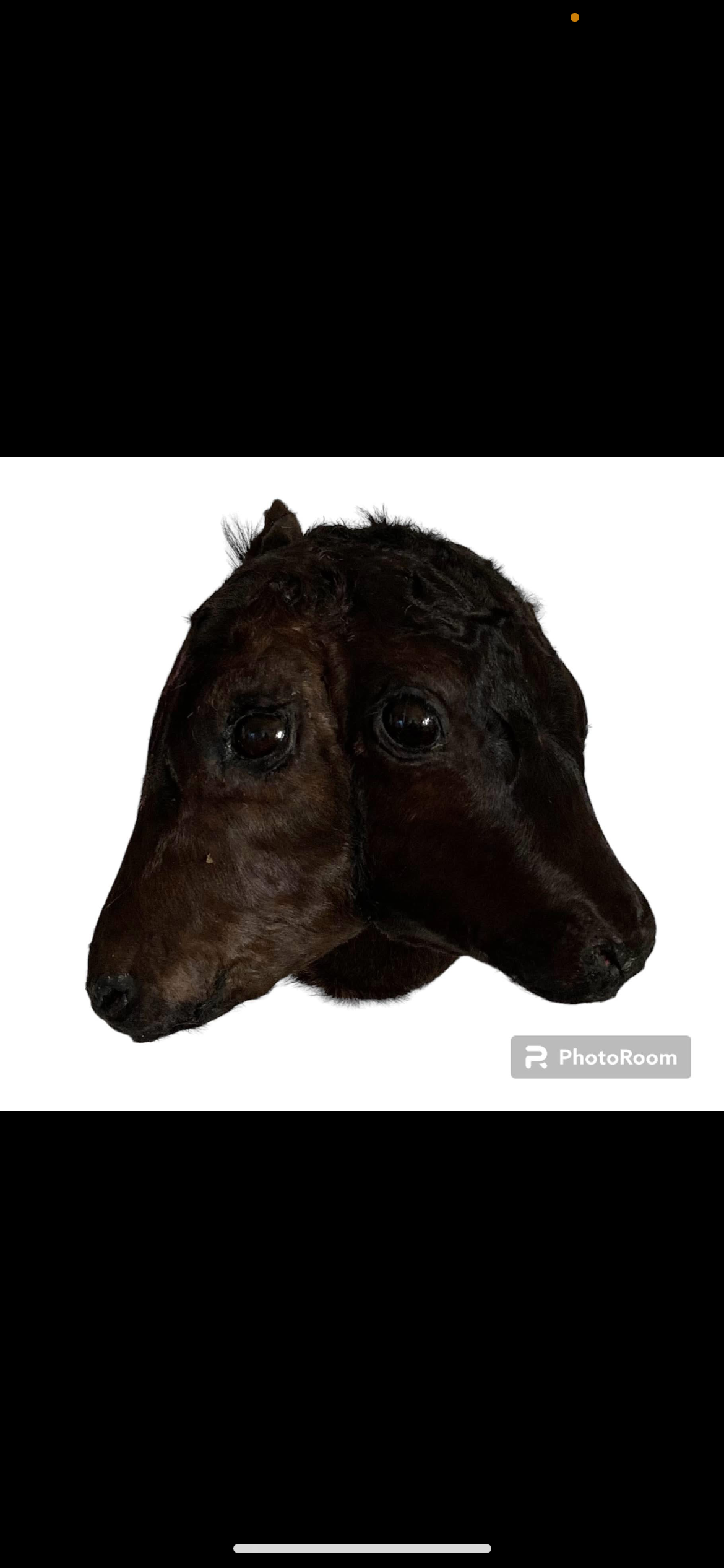 Commissioned 2 Headed Calves Gaft. Log in for wholesale prices