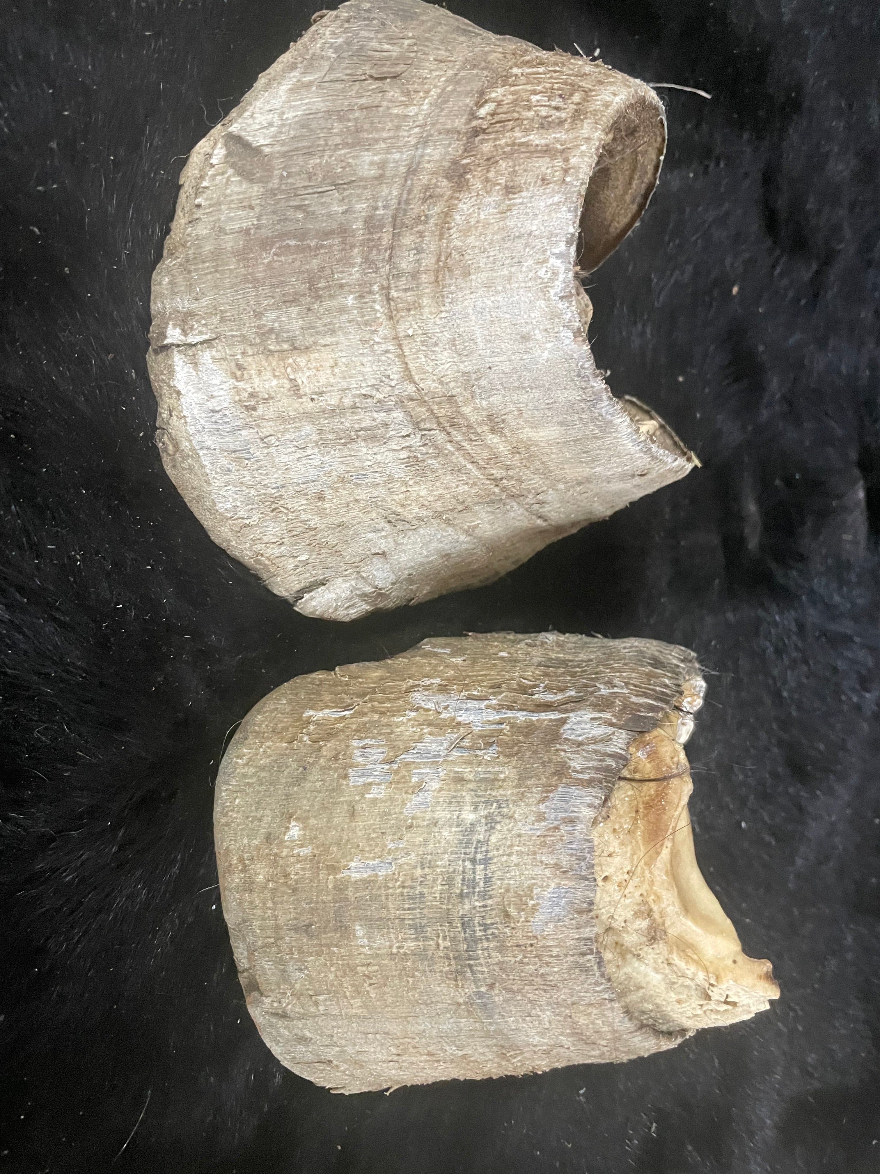 8 pairs of horse Hooves