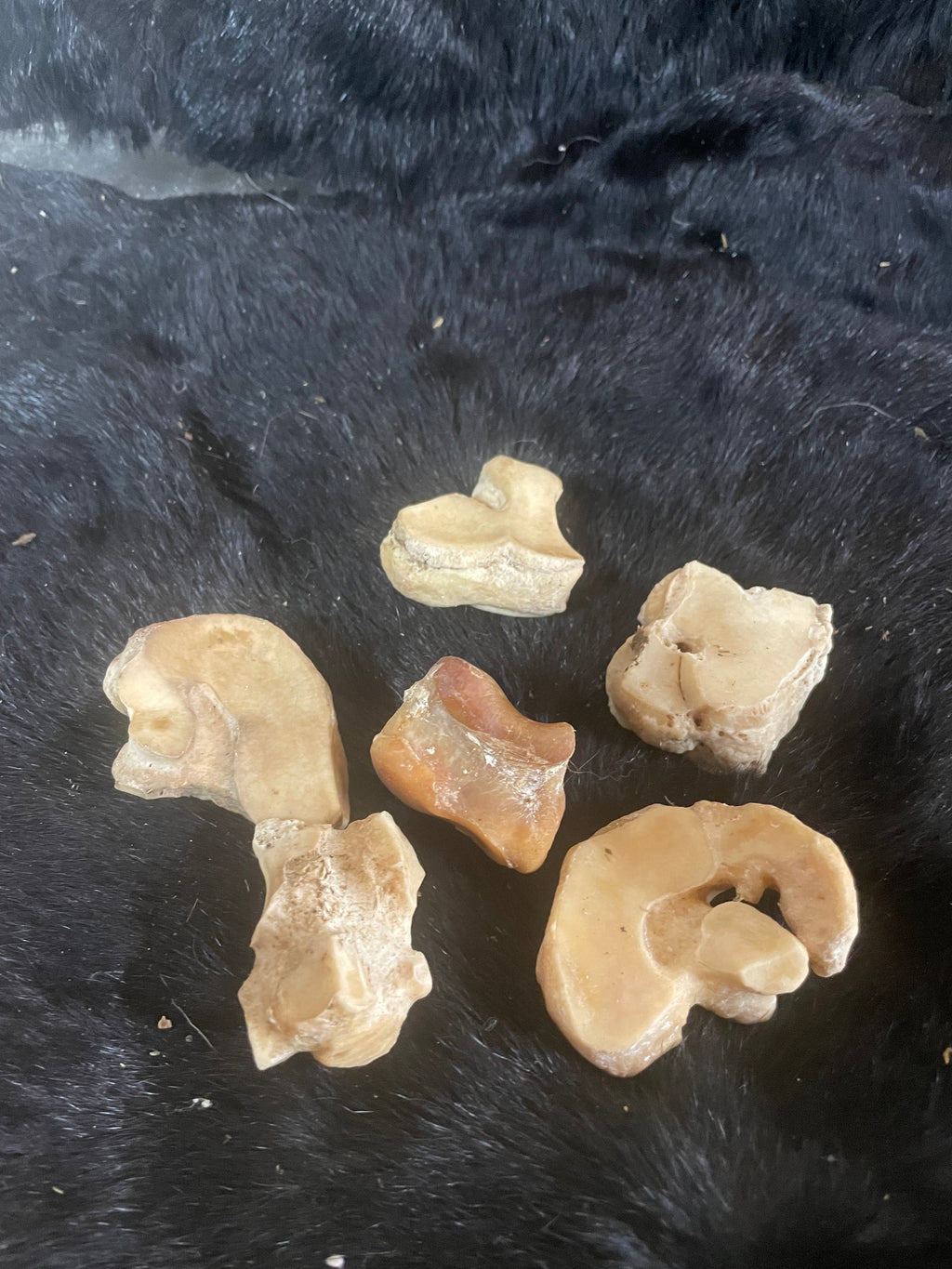 Horse and Foal Lot 1