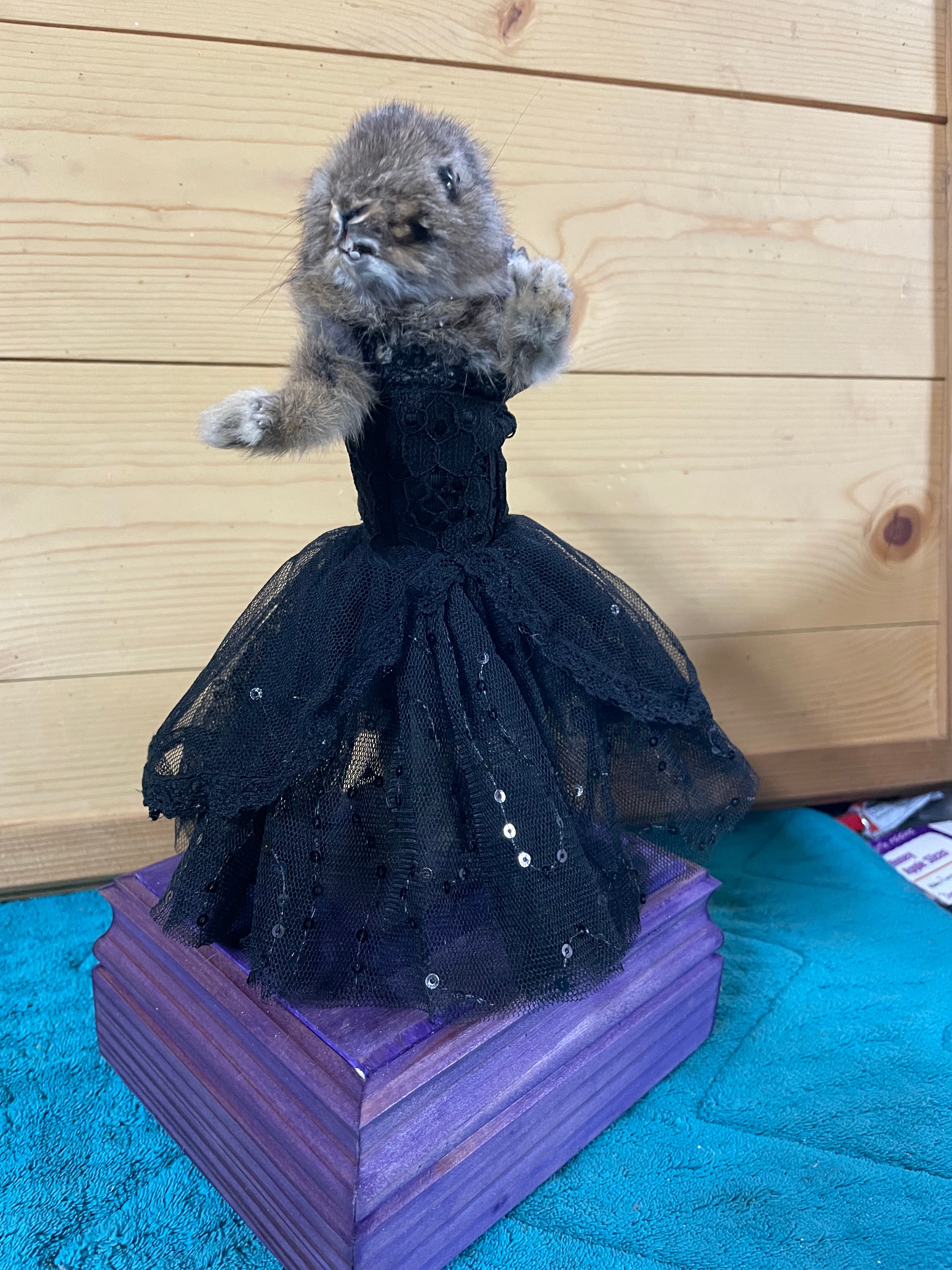 Gothic Ballerina Bunny